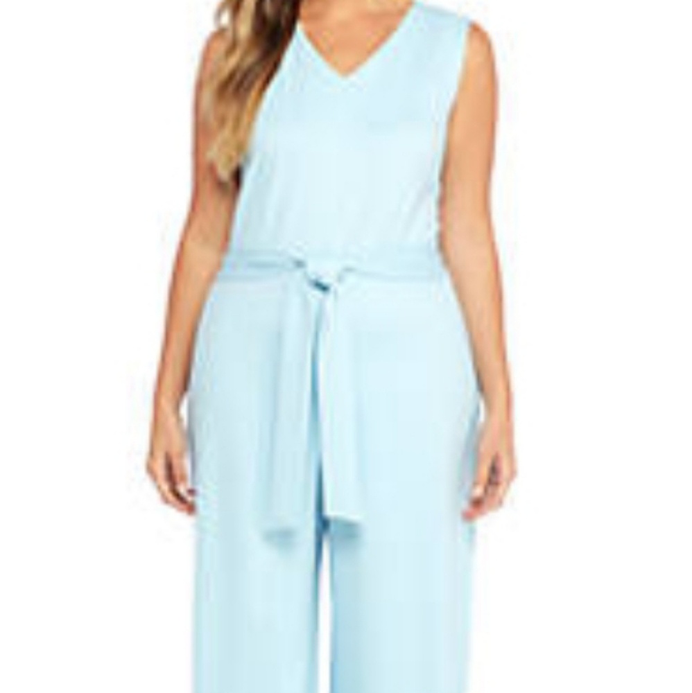 The Limited Ponte Sleeveless Jumpsuit